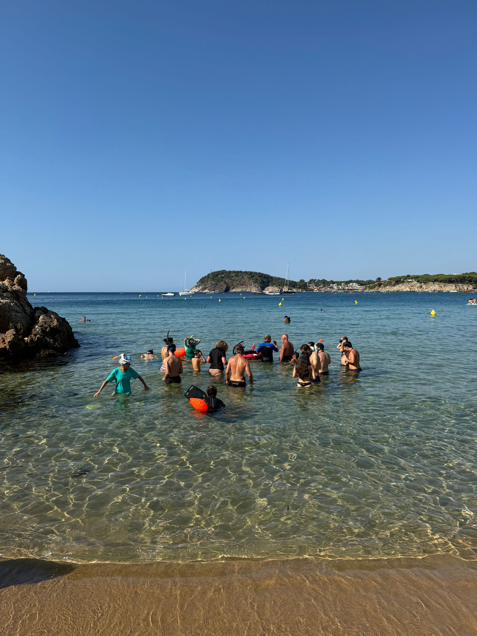 Descoberta Marina a la Platja de Castell: Una Experiència Inoblidable